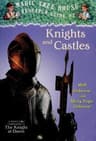 Thumbnail of Knights and Castles