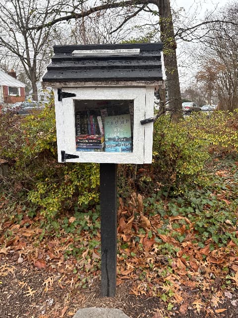 N Oak and Lincoln library