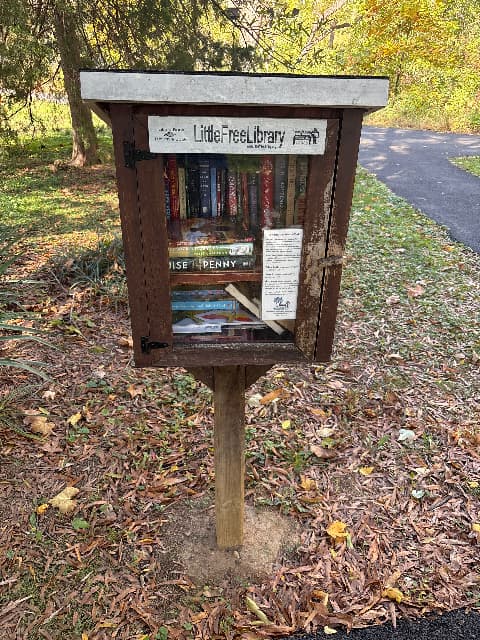 Dominion hills park library