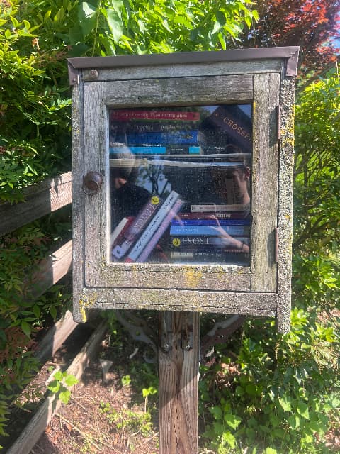 little wooden library library image