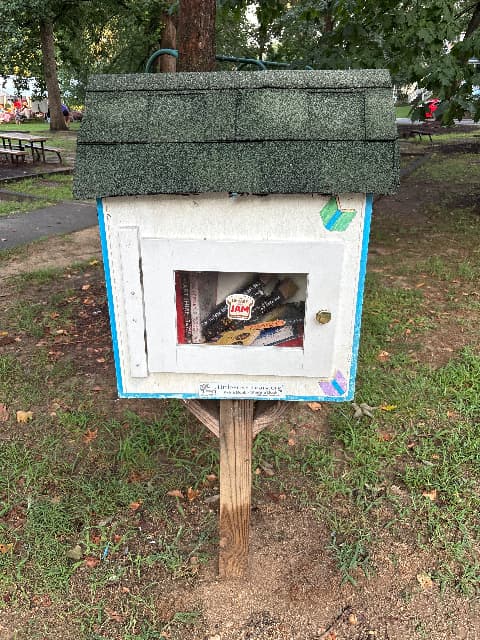 Lyon Park One library